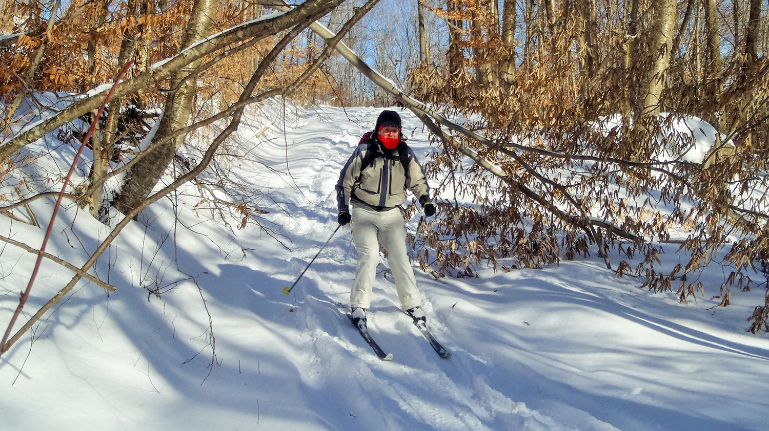Skiing in the Essex Chain Complex. Rich Macha