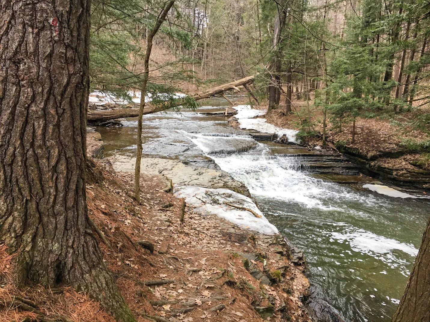 Too much water this trip to cross the Red Trail. Tom O’Grady