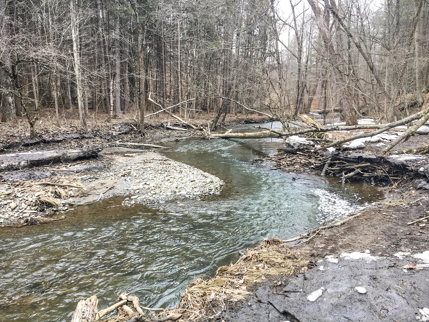 Water running steadily at the Indian Kill Preserve.