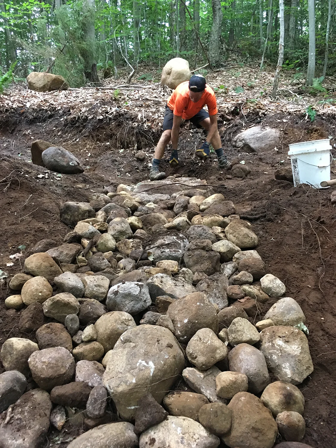 New flow trails at McCauley Mountain in Old Forge. Kelly Ann Nugent/AFTA