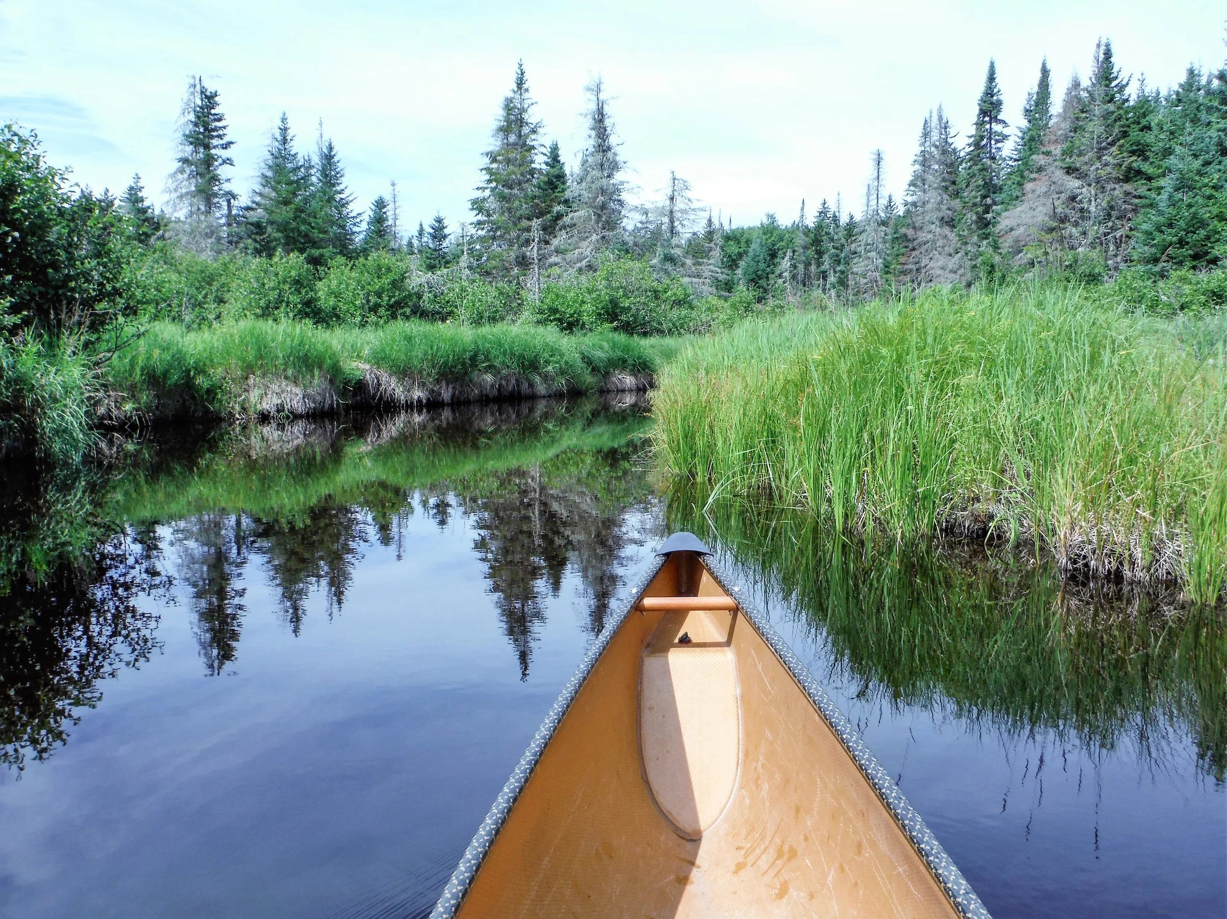 CANOEING, KAYAKING & SUP