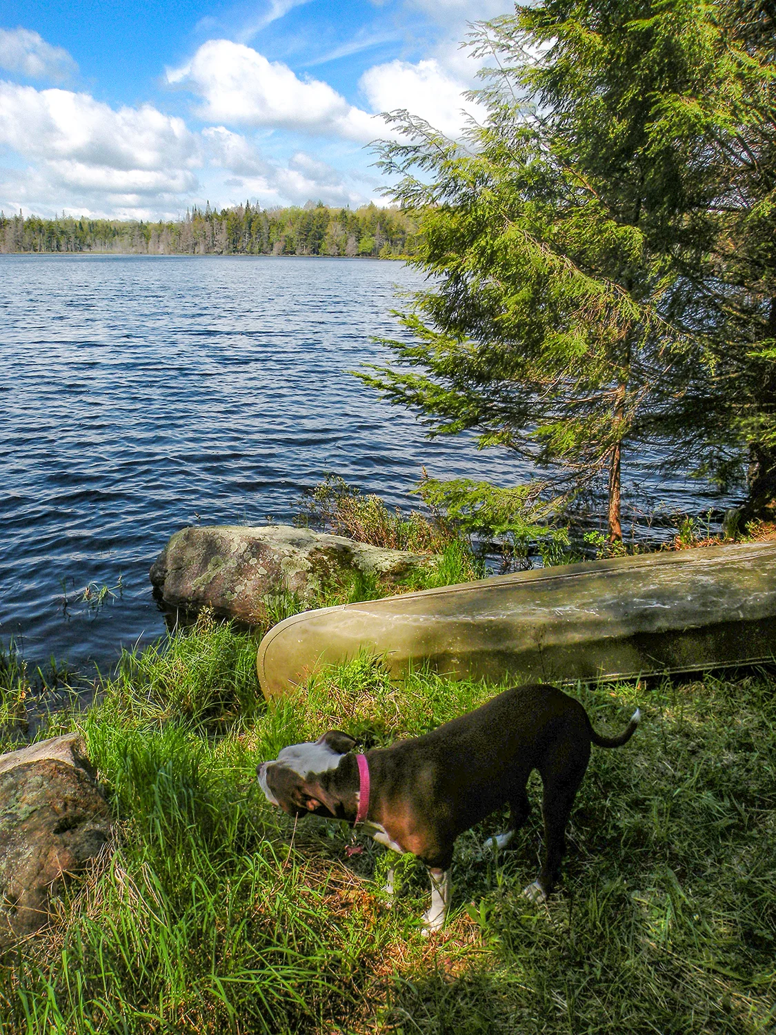 Little Woodhull Lake. Bill Ingersoll