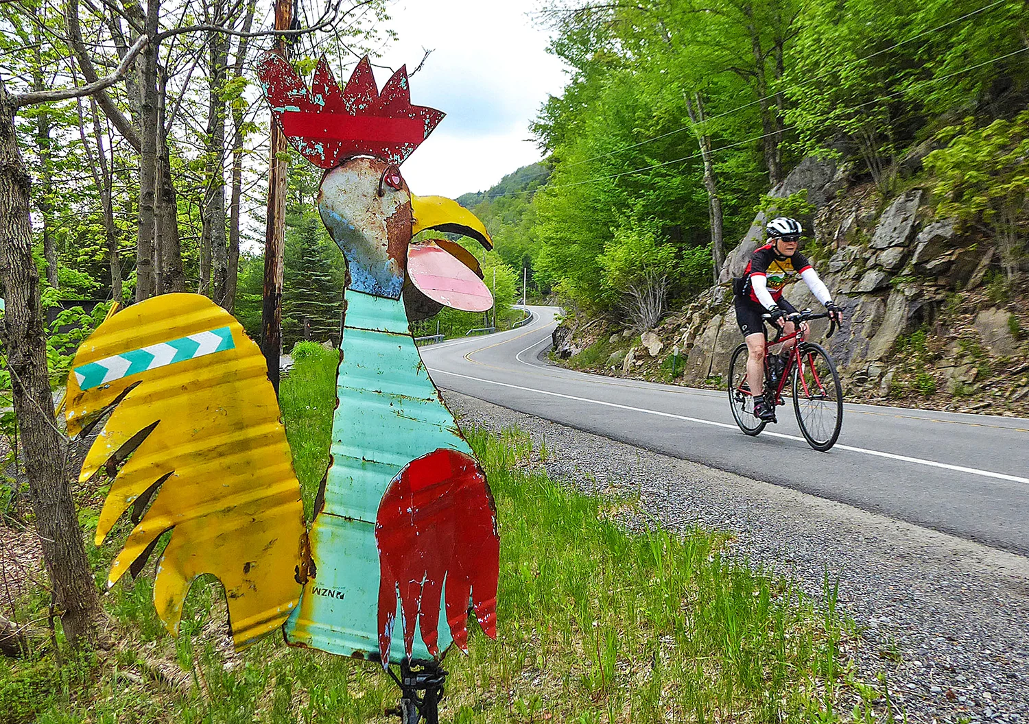 2019-07-bicycling-01-1500px.jpg