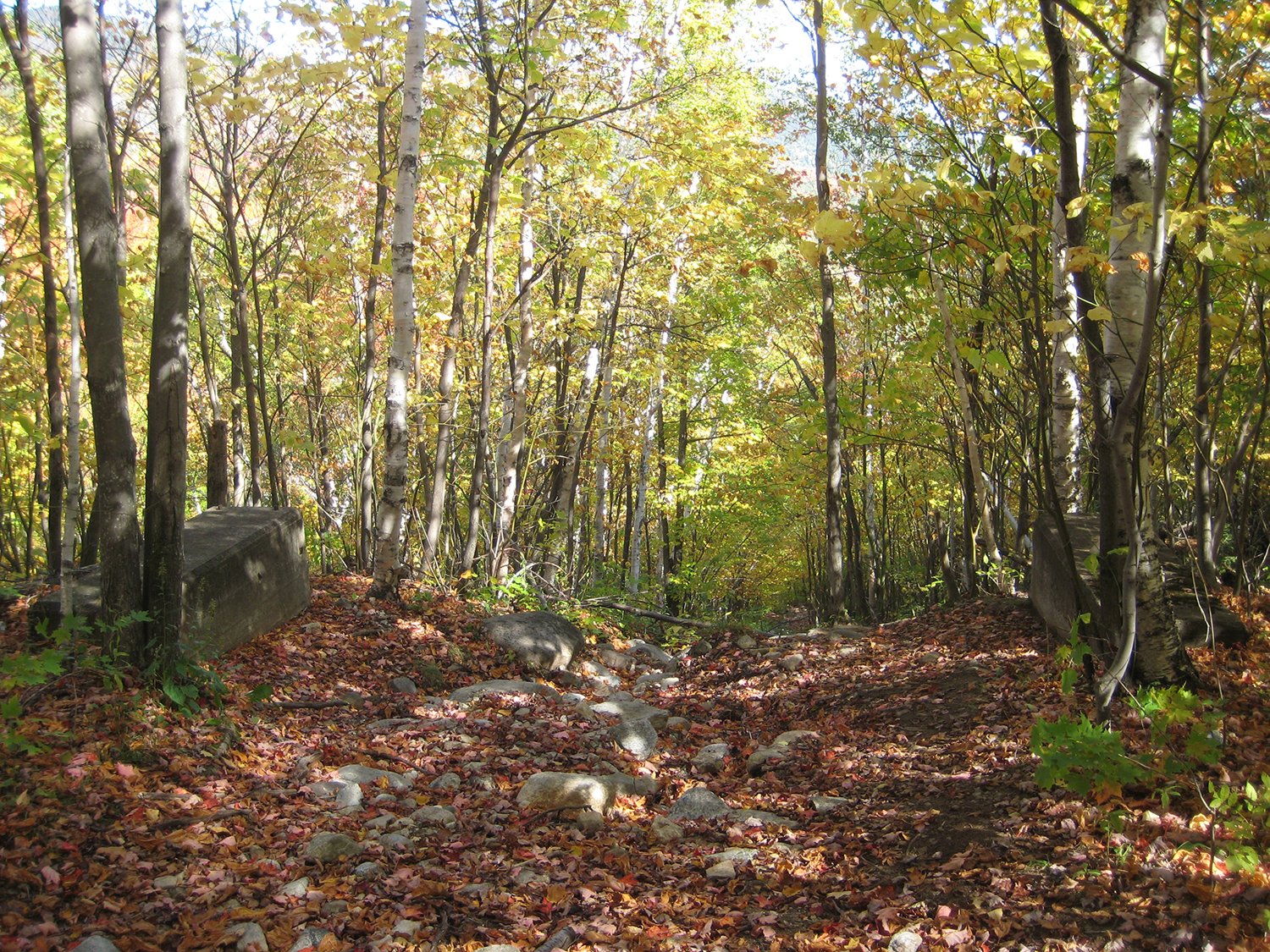 HIKING