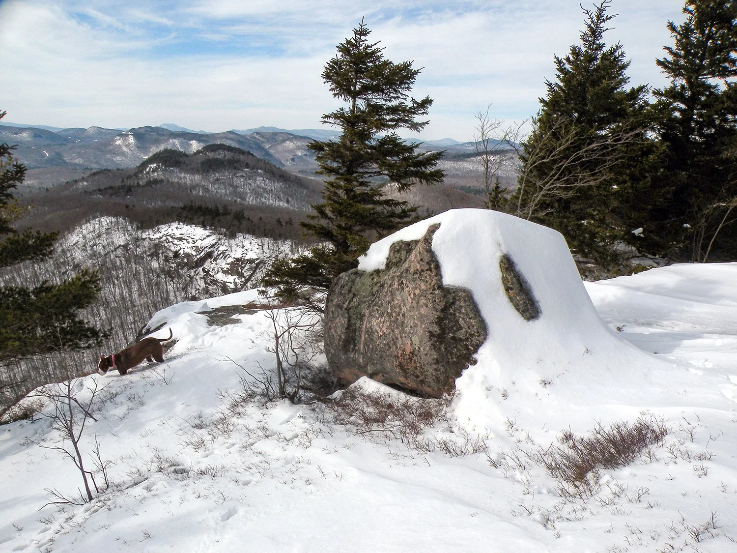 HIKING & SNOWSHOEING