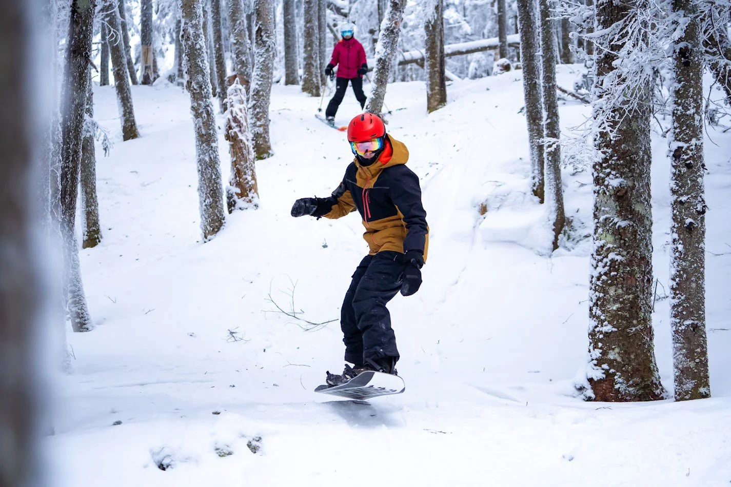 ALPINE SKIING & RIDING