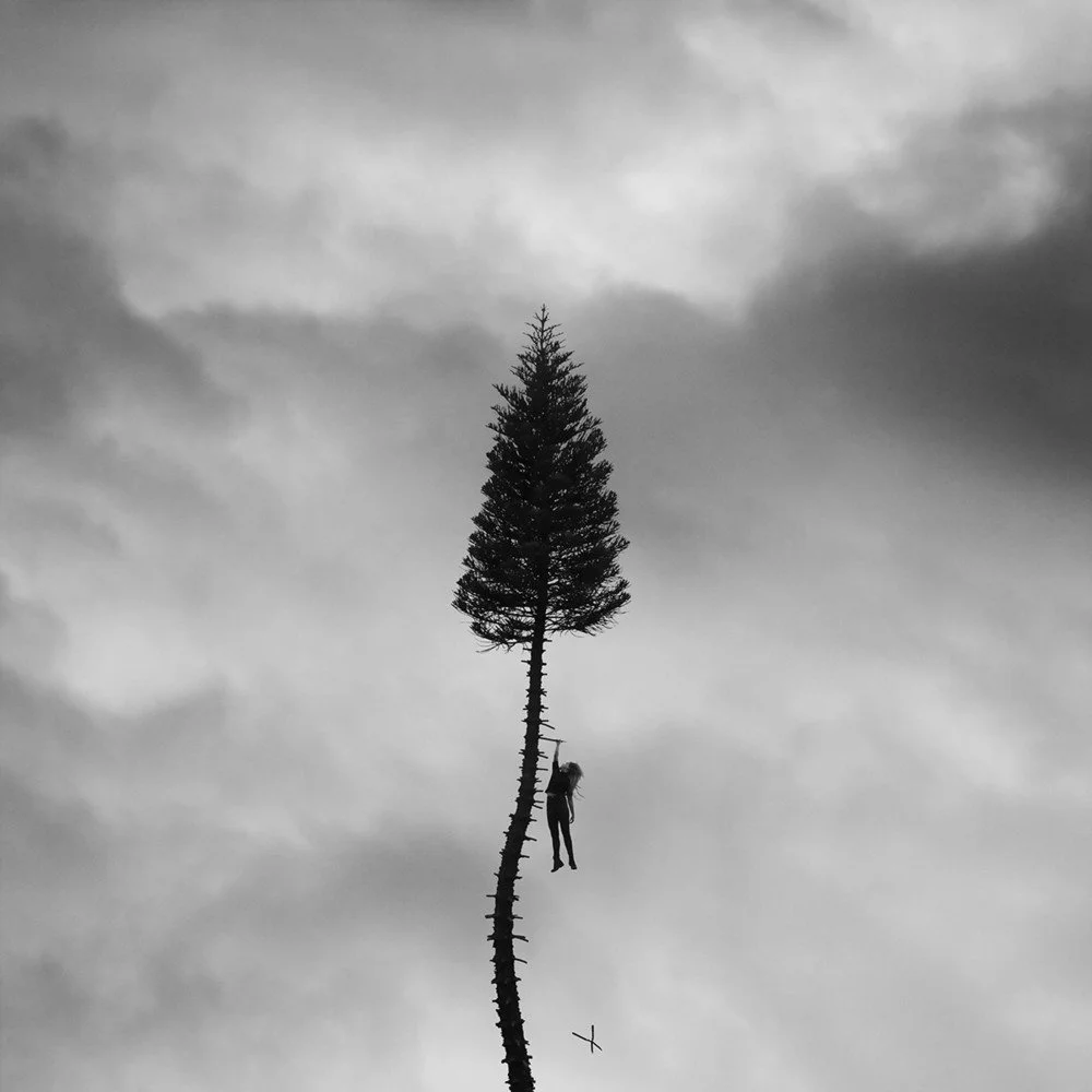 f6653e26ca7b5c68ac624bd7b6b0e29c.1000x1000x1.jpg