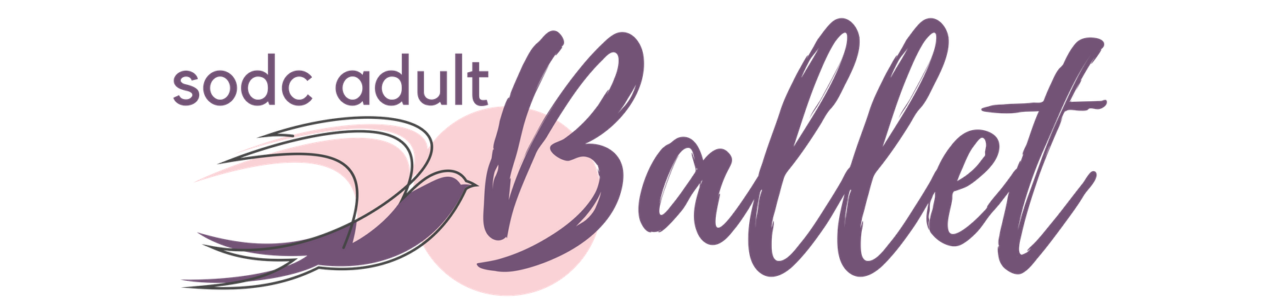 AdultBallet.png