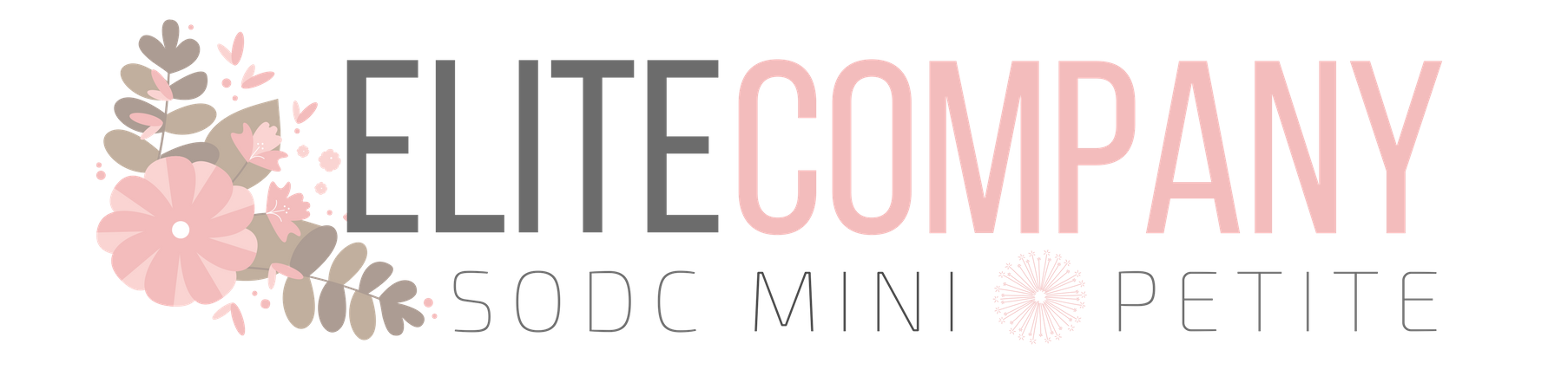 EliteCompany.png