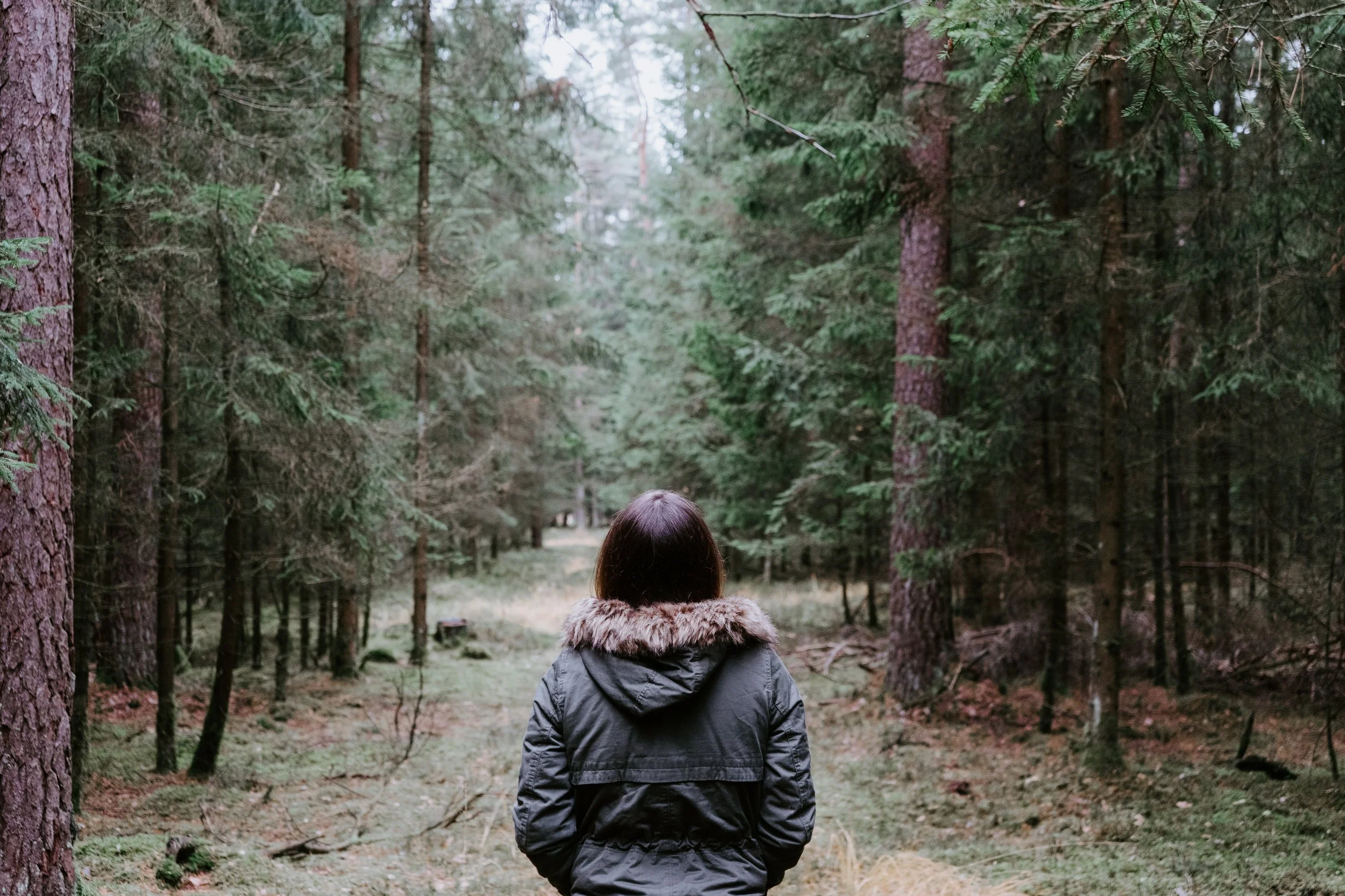 julian-hochgesang-1133278-unsplash.jpg