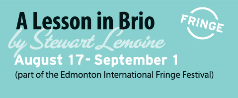 Brio Banner.jpg
