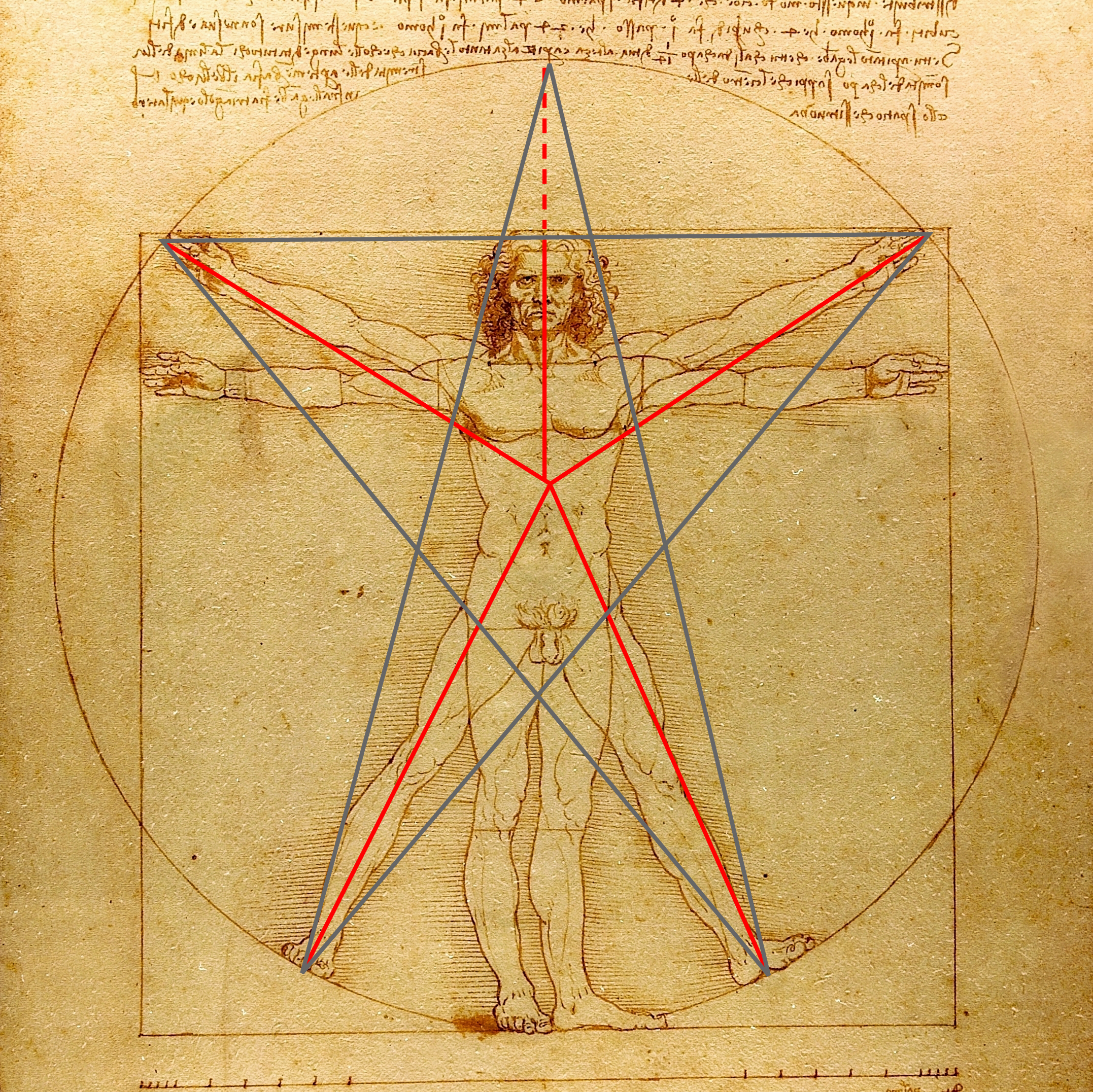 Kens 5 vitruvian man lrg 4.jpg