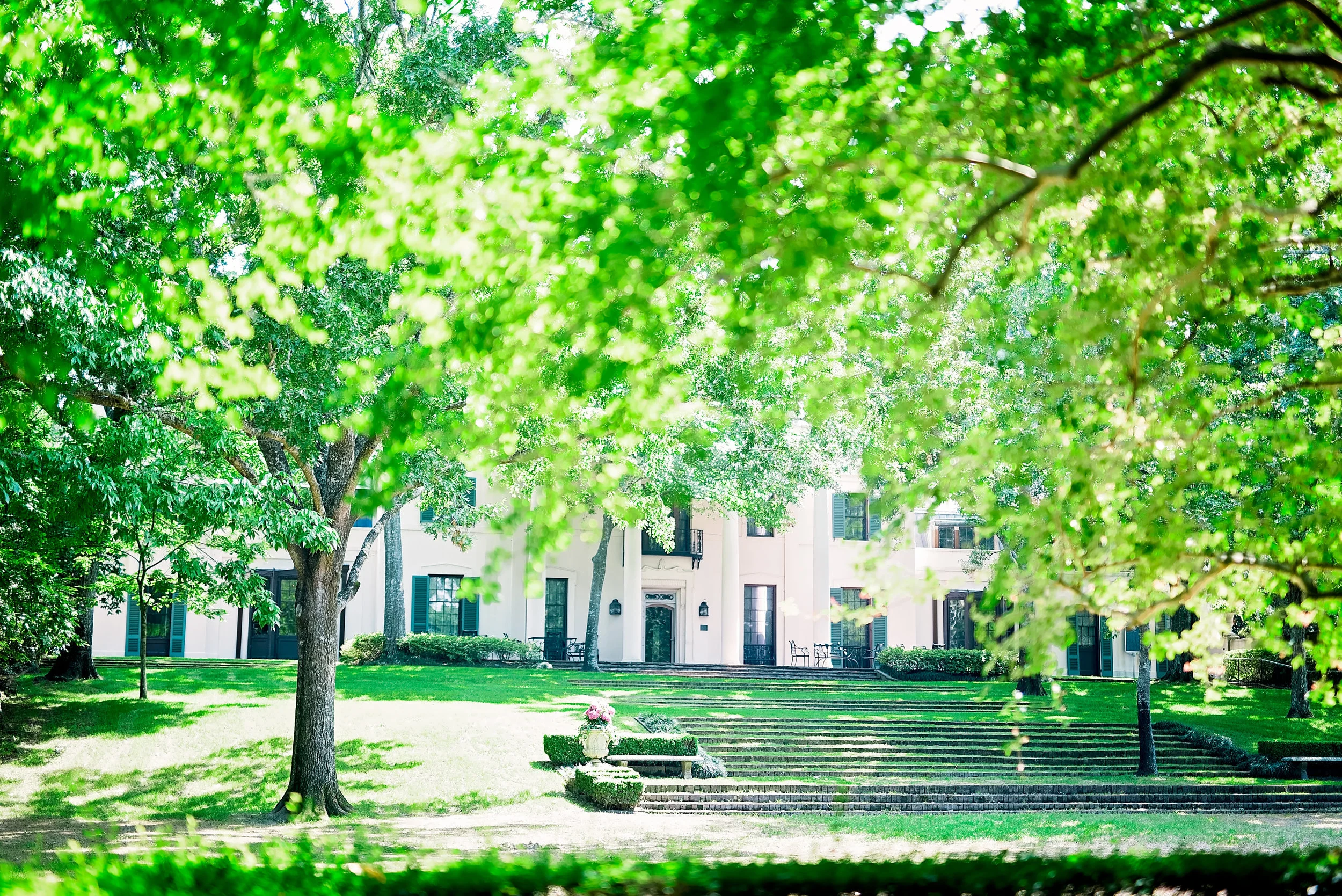 Engagement Session- Pharris Photography- Texas Photographer- Tochi and Julius- Houston