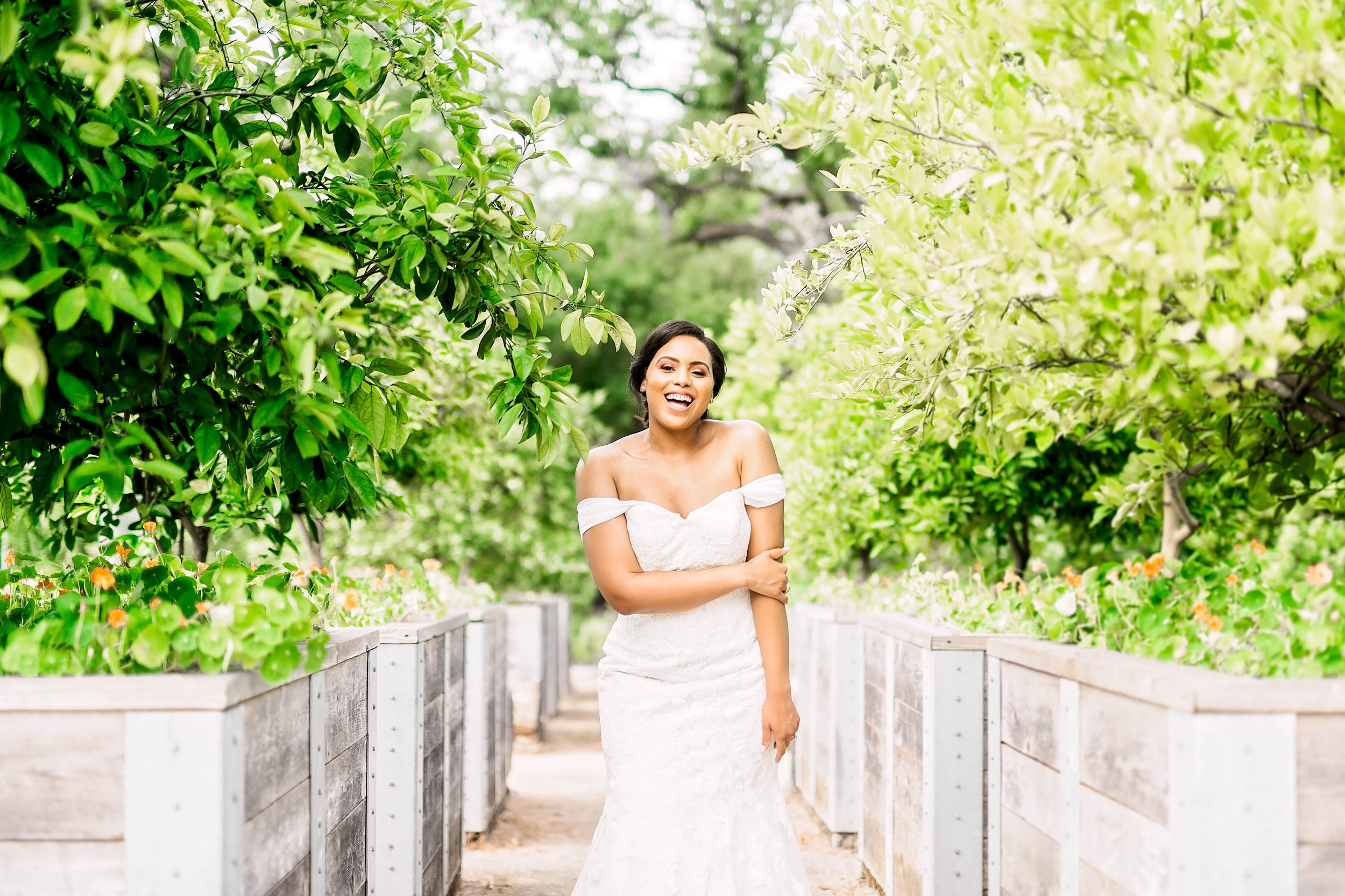 Pharris Photography- Bridal Portraits- McGovern Garden- Houston Bride- Kristin Brown