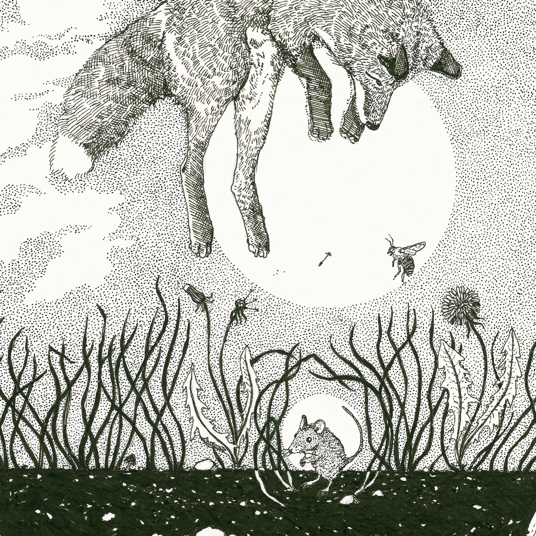 fox mouse copy.jpg