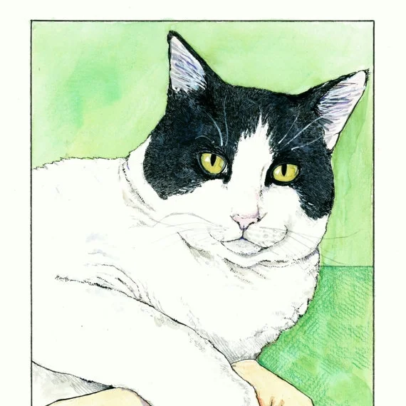 Custom Pet Portrait