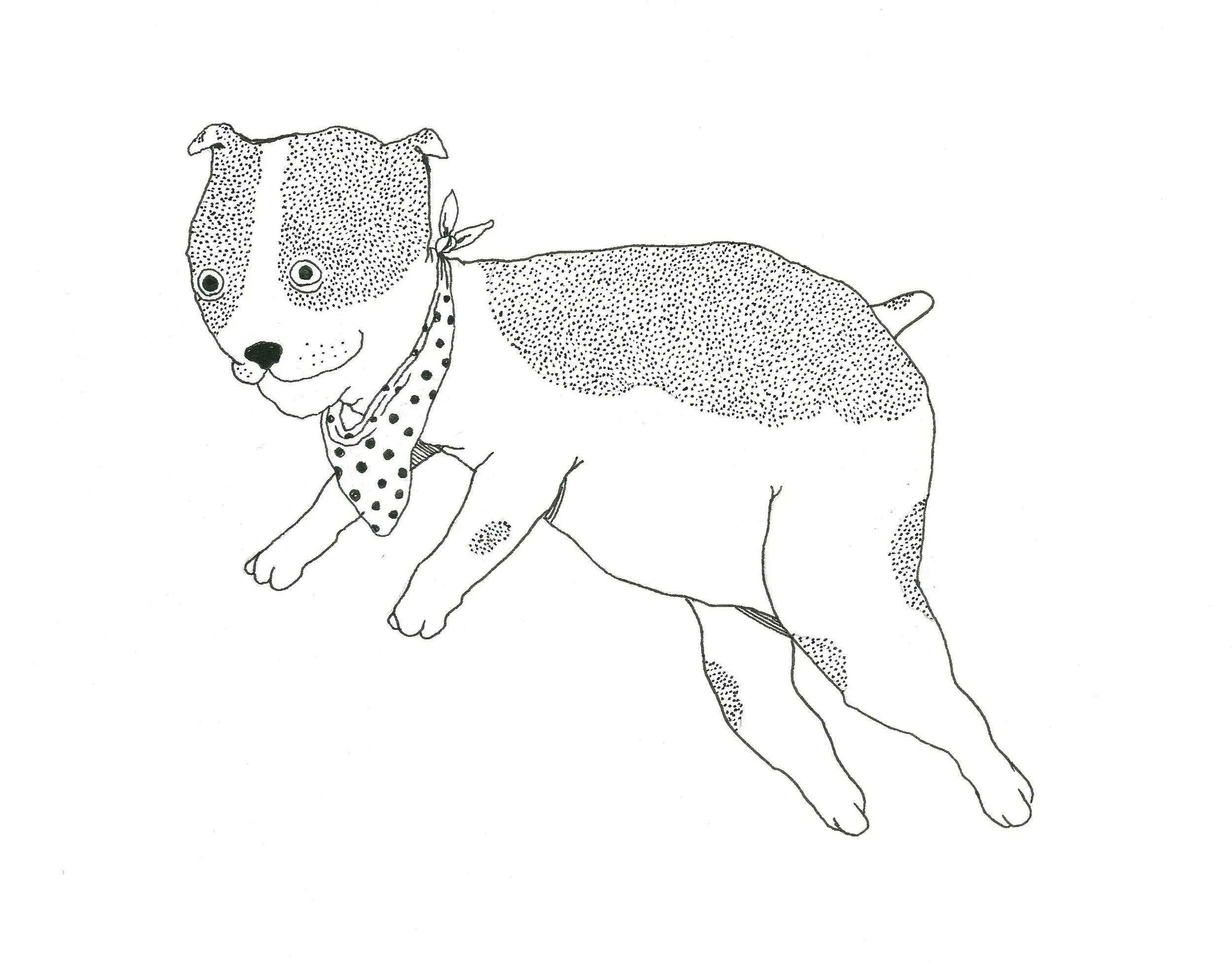 dog2.jpg
