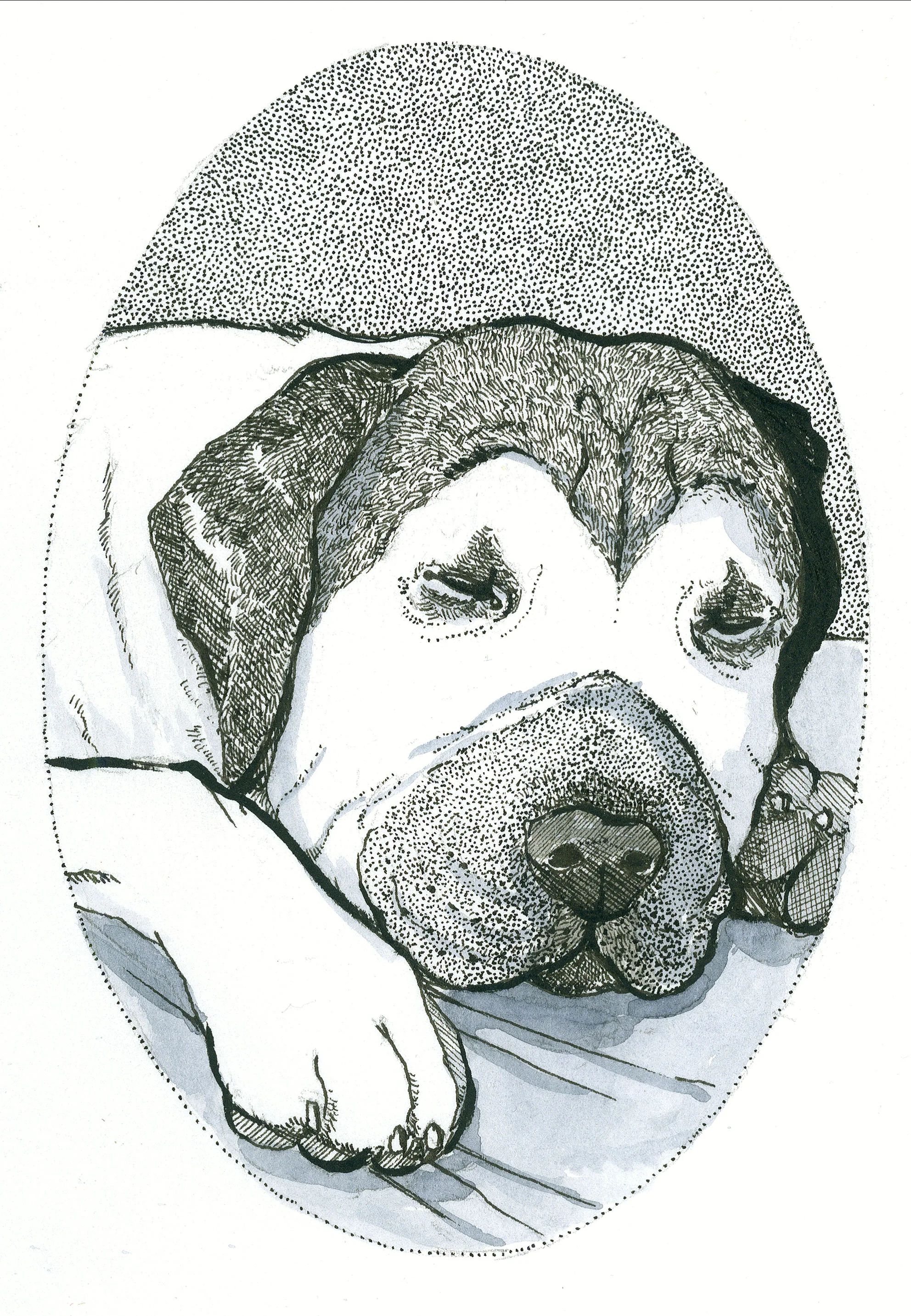 mastiff.jpg