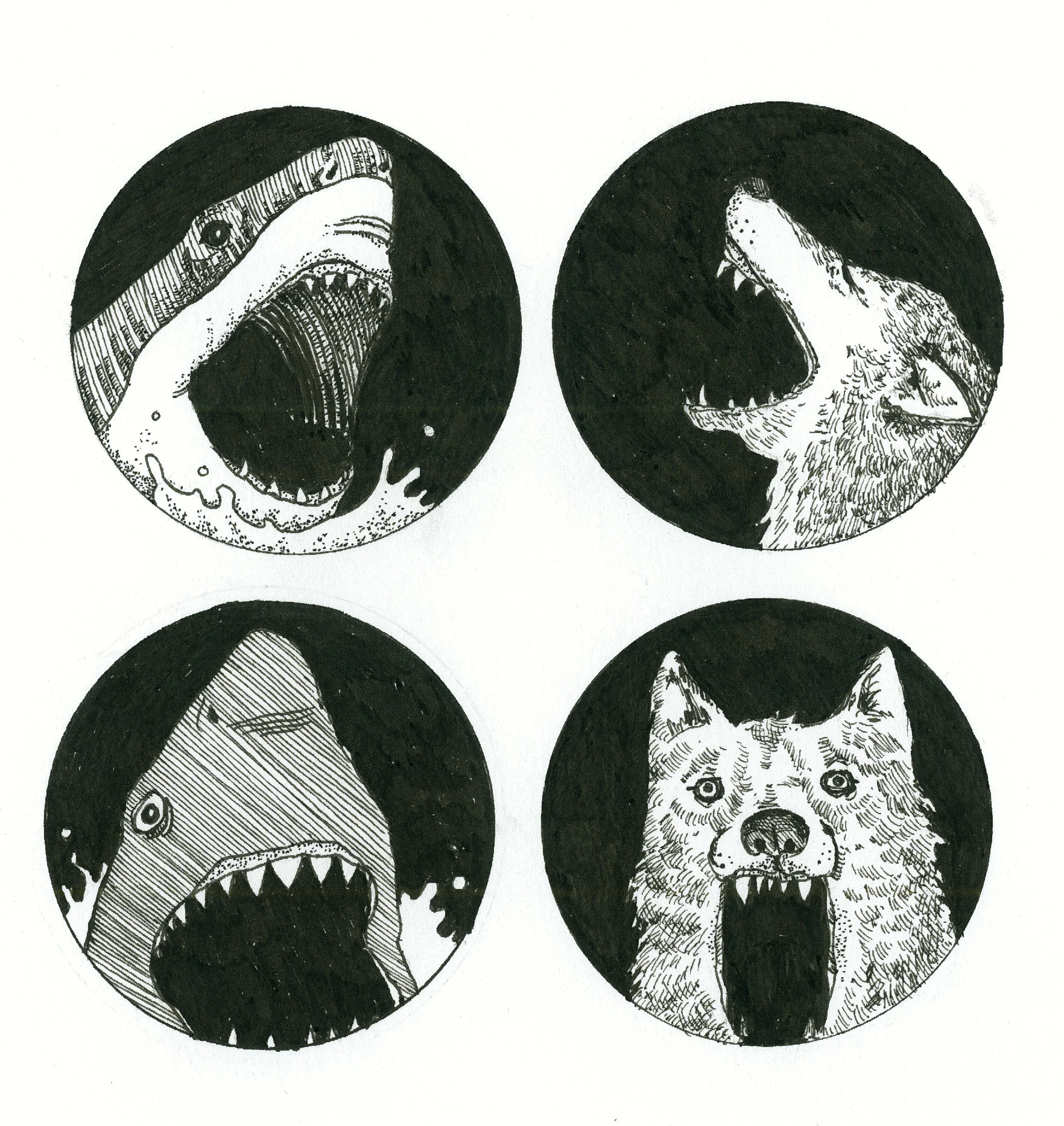 sharkswolves.jpg