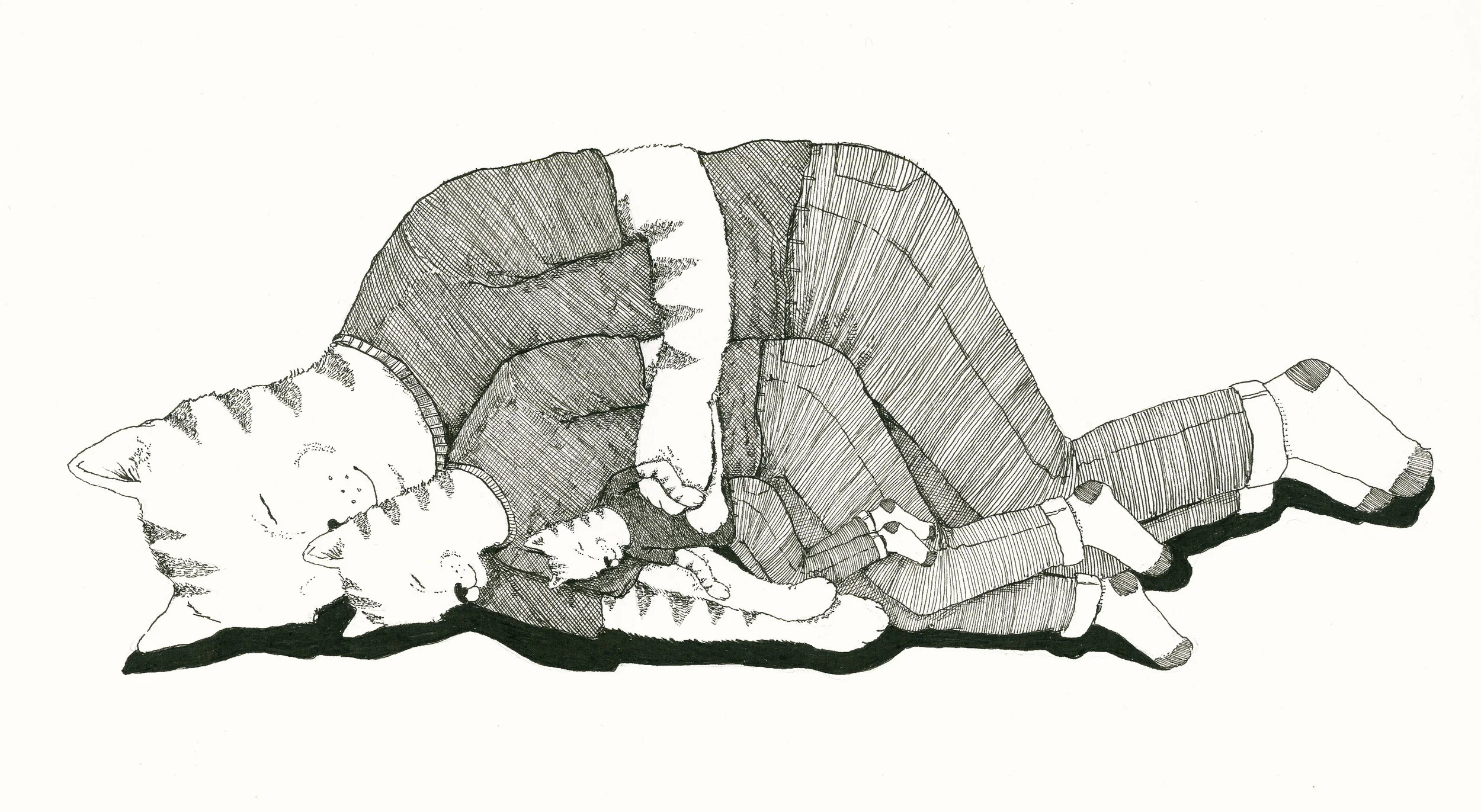 cat cuddle.jpg