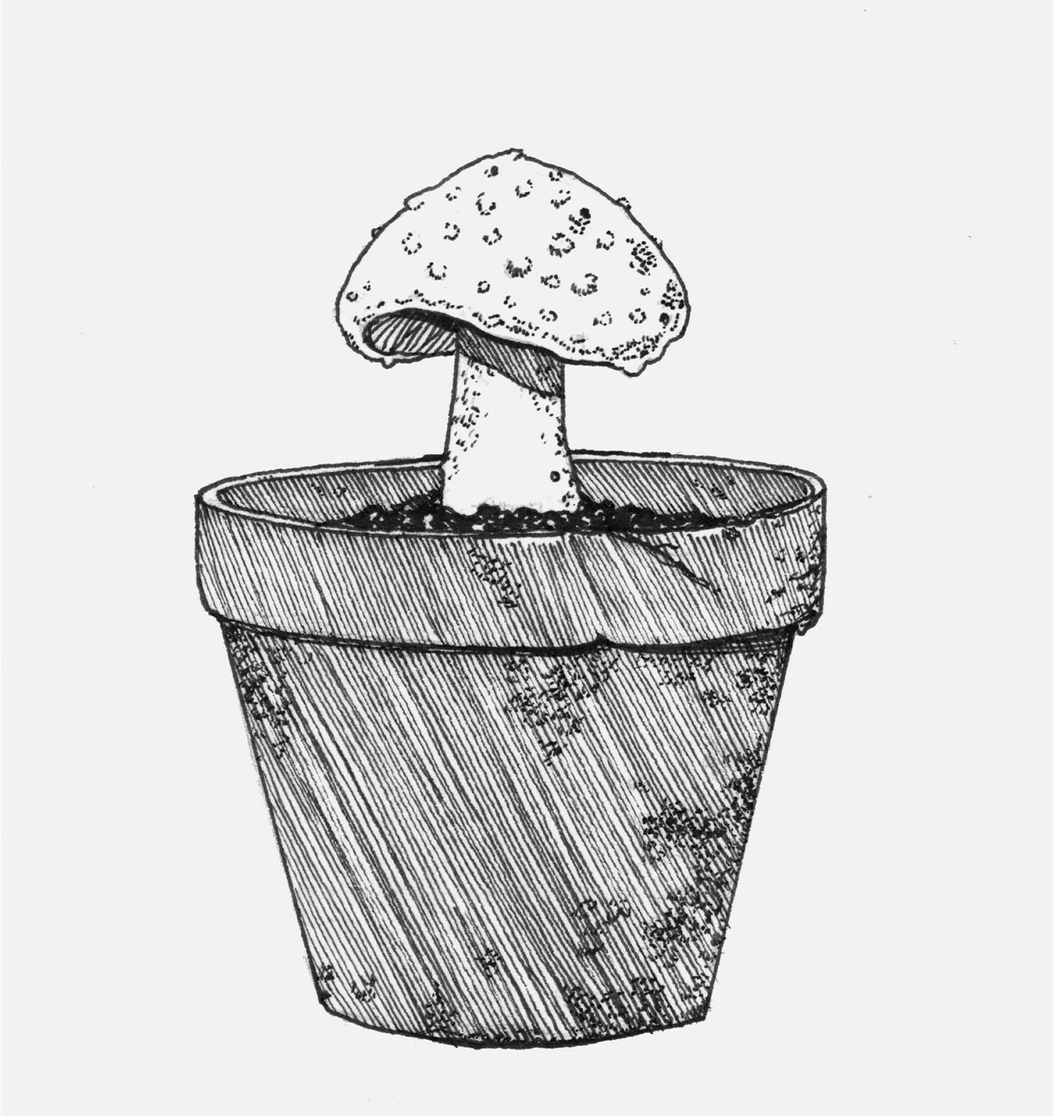 fungus.jpg