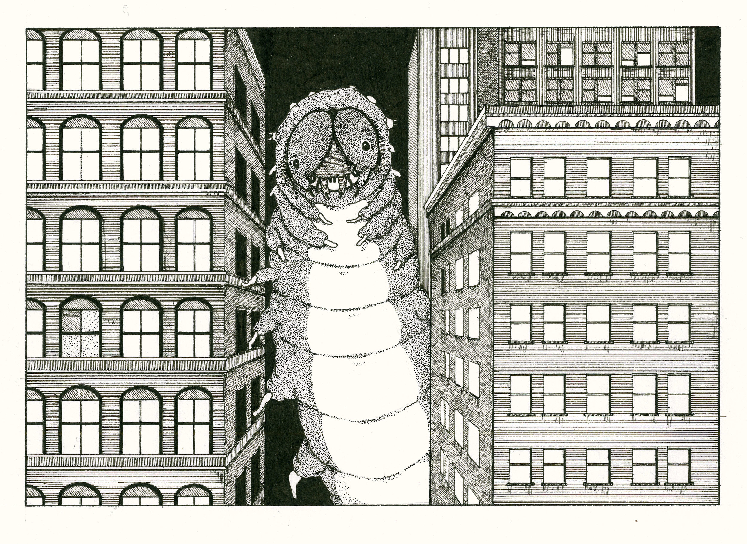 caterpillar.jpg