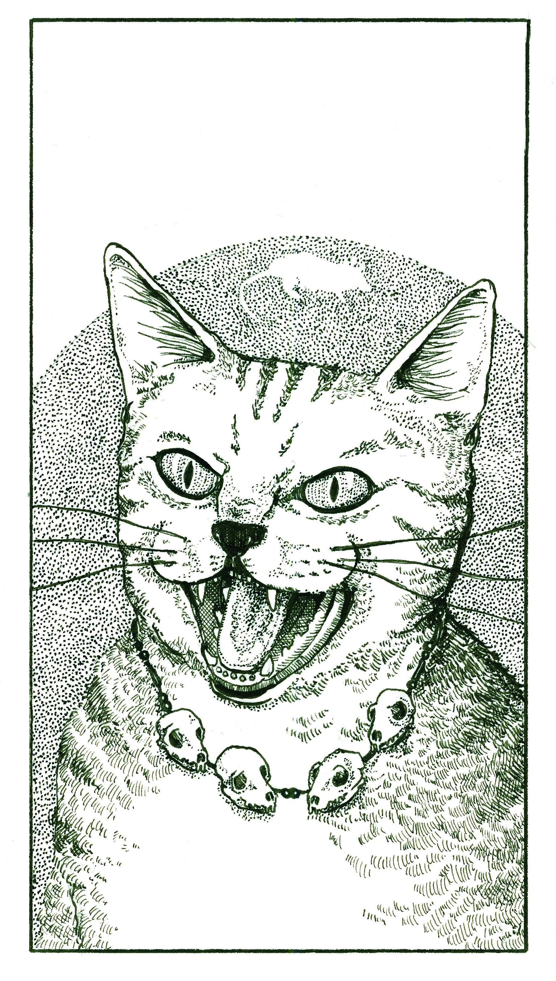 mara.jpg