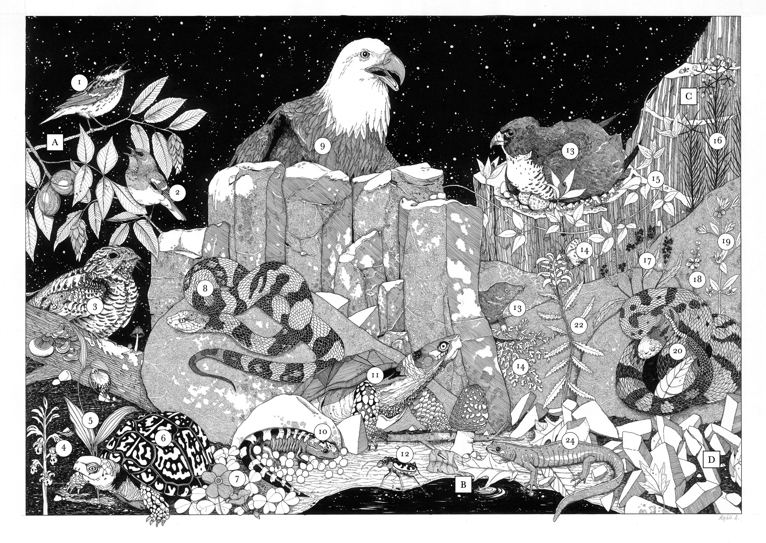 foldout2.jpg