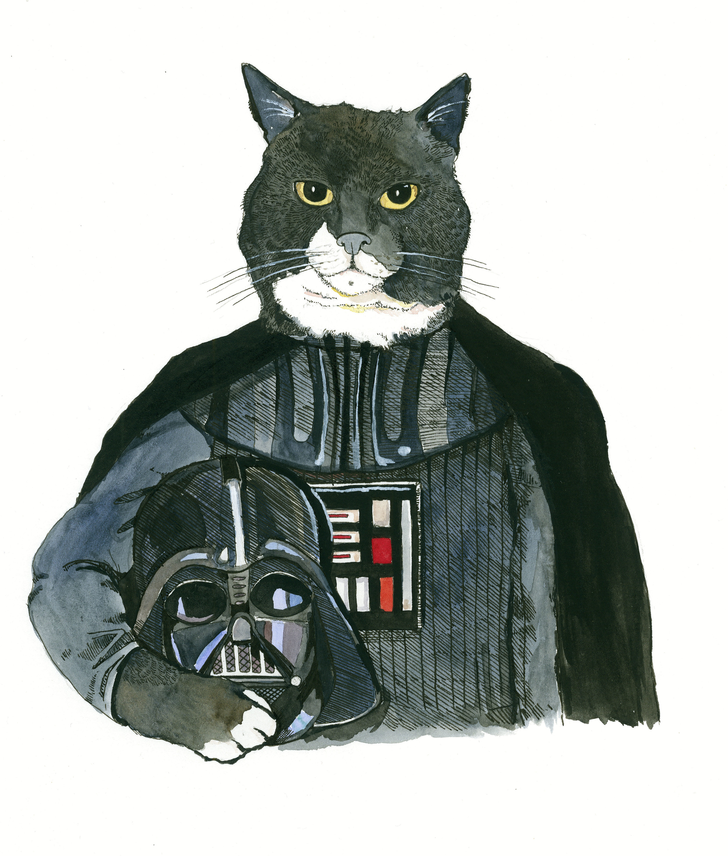 darth+cat.png