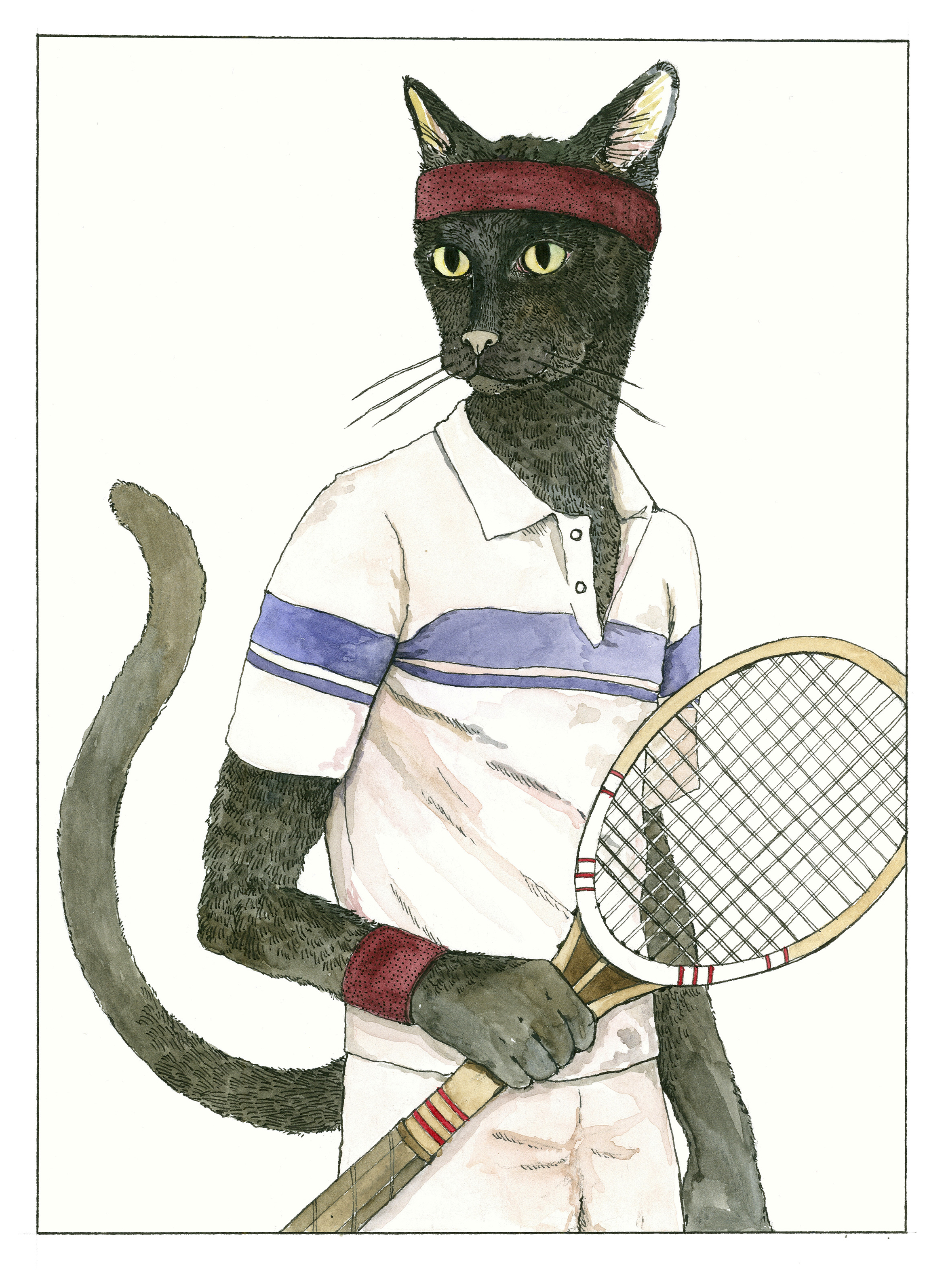 tenniscat.png