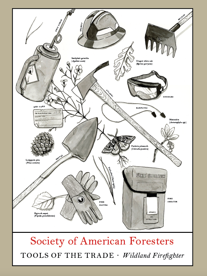 Screenshot 2024-07-23 at 8.54.24 AM.png