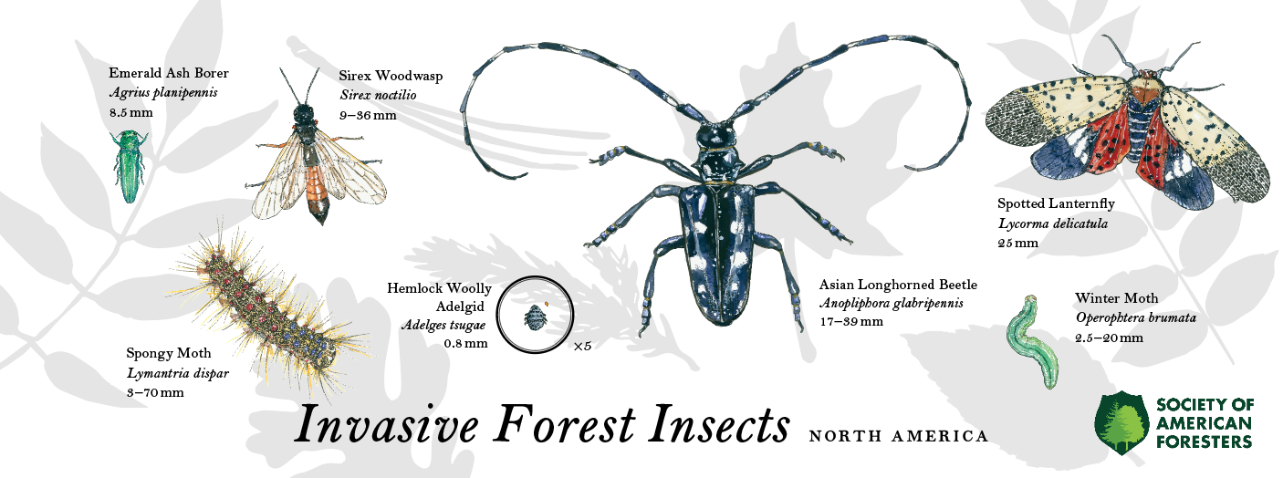 Screenshot 2024-07-23 at 8.57.35 AM.png