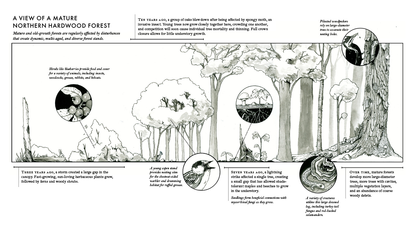 Screenshot 2024-07-23 at 9.01.20 AM.png