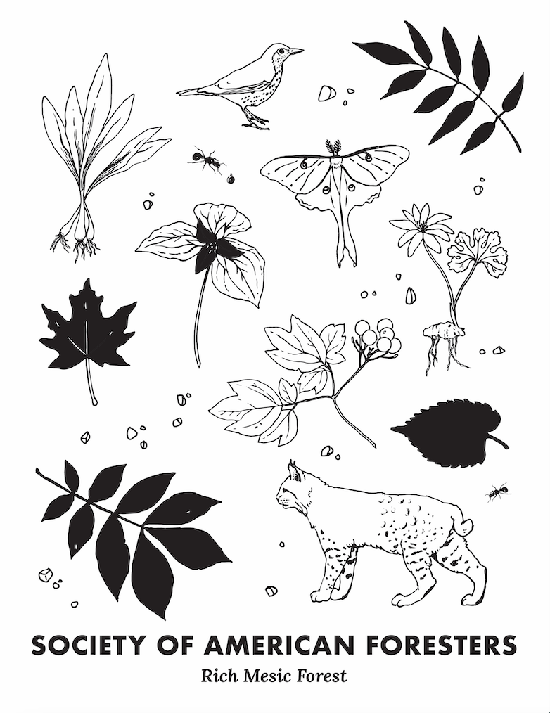 Screenshot 2024-07-23 at 8.59.09 AM.png