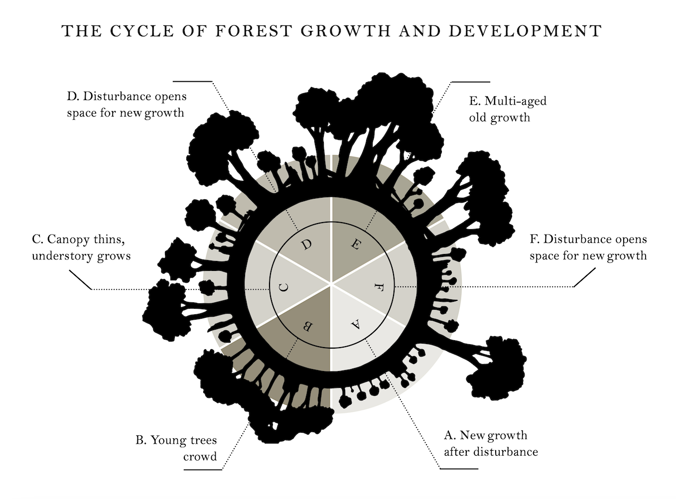 Screenshot 2024-07-23 at 9.01.46 AM.png