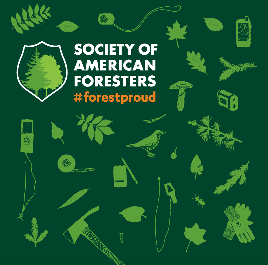 Screenshot 2024-07-23 at 8.57.50 AM.png