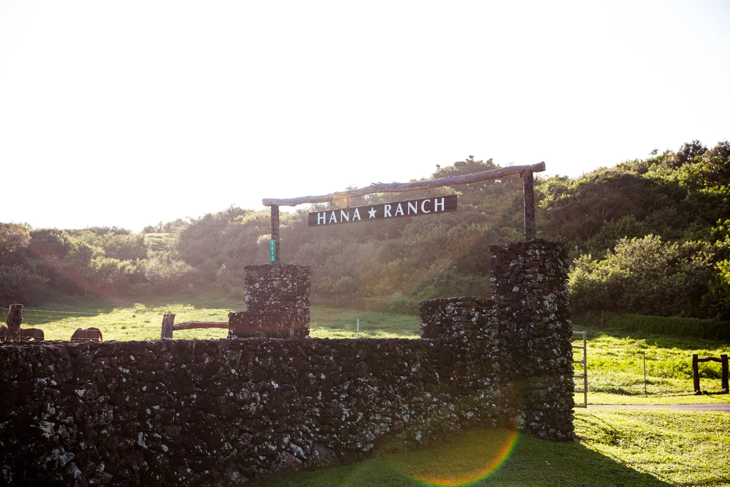 Hana-Ranch-57-mdxfave.jpg