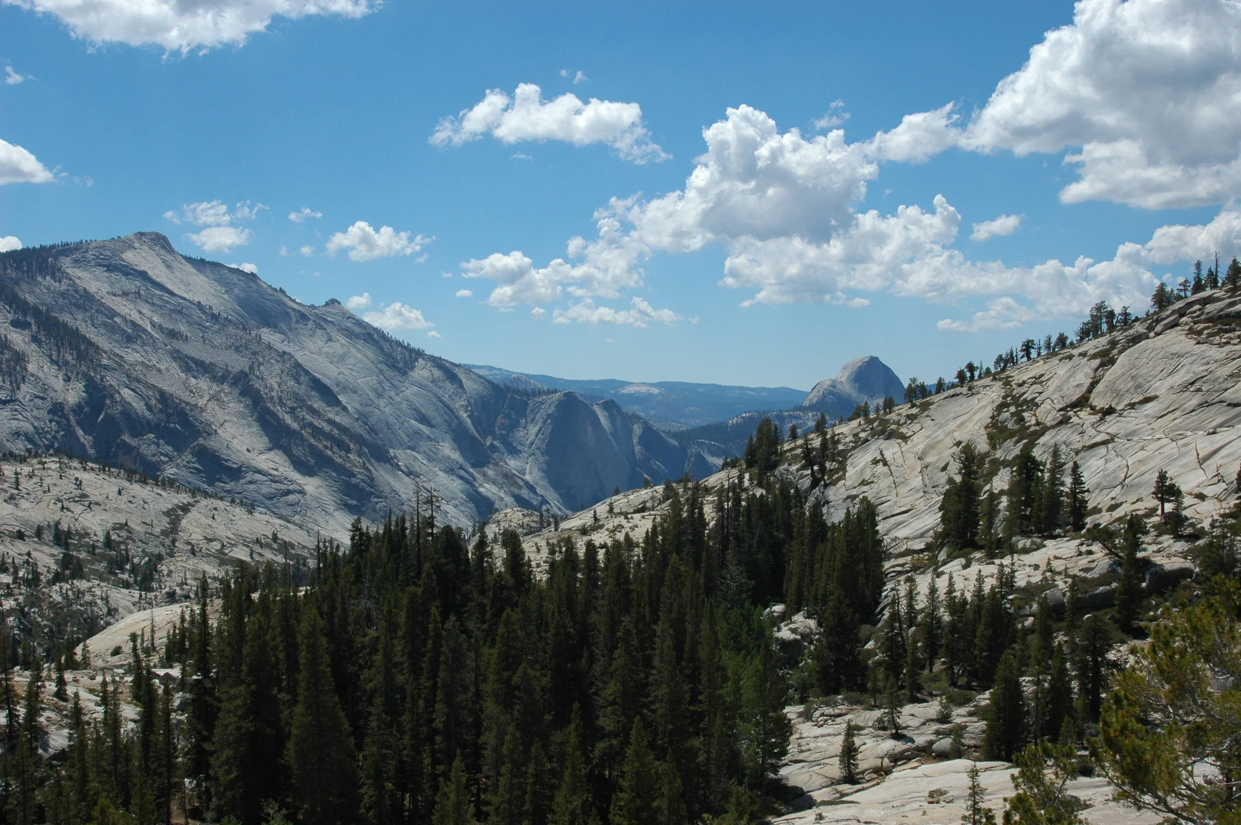 DSC_3478.JPG