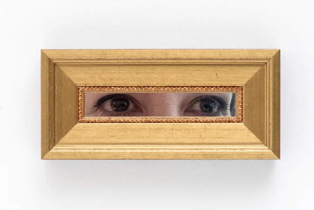 The-Gaze-detail.jpg