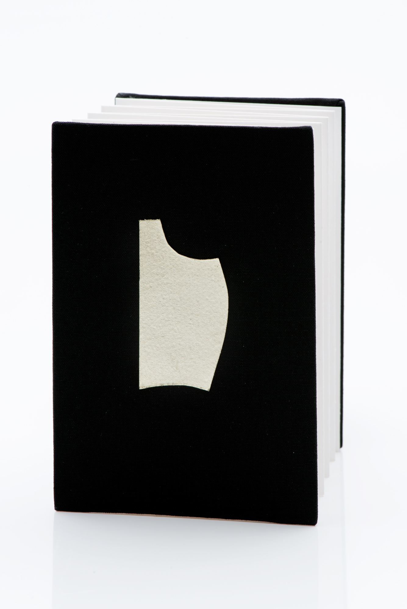 Erasure Poem II cover.jpg
