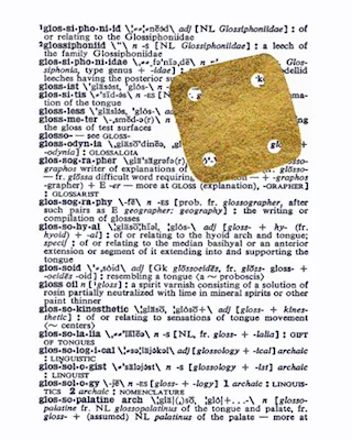 POCE7.jpg
