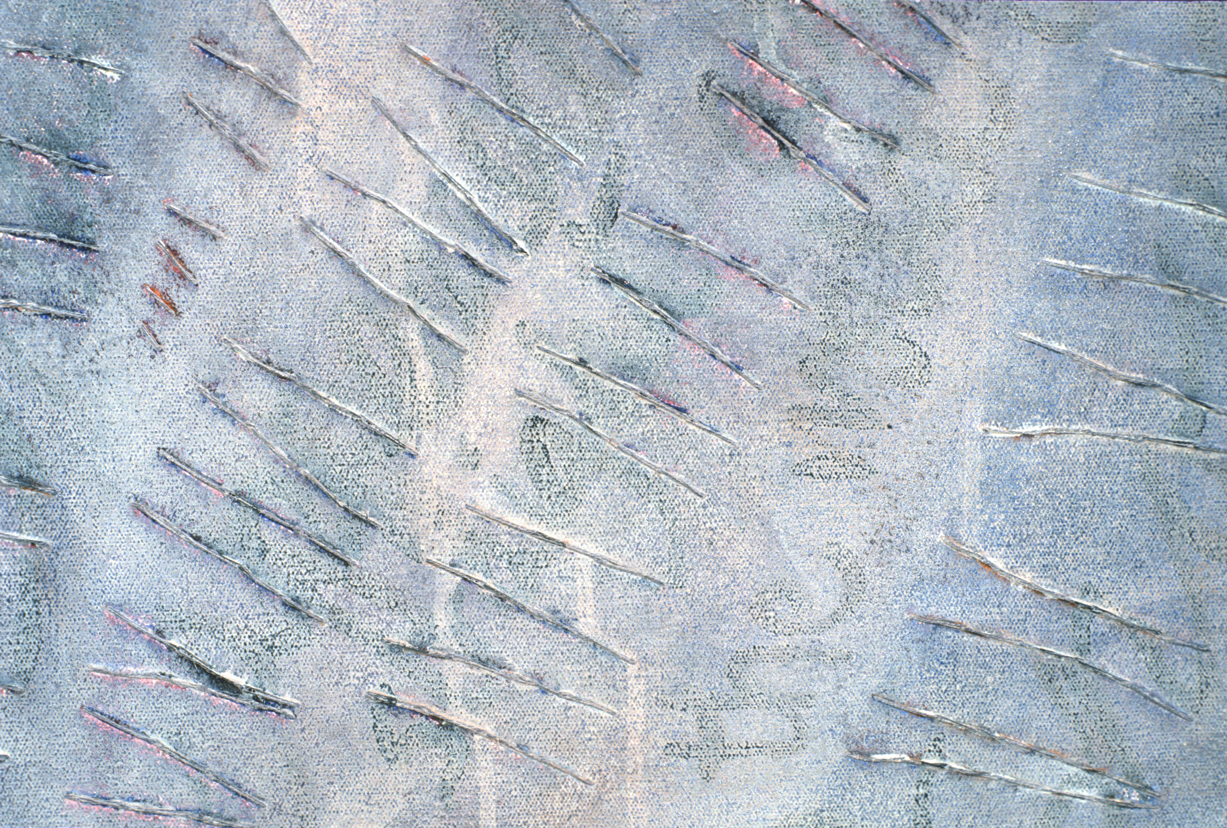 Remarks_Poets_Detail2.jpg