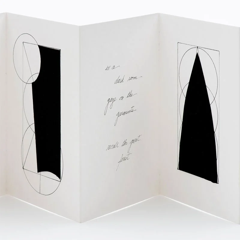 Erasure Poems