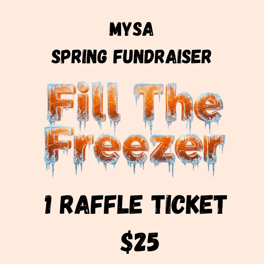 MYSA Spring Fundraiser 1 ticket.png