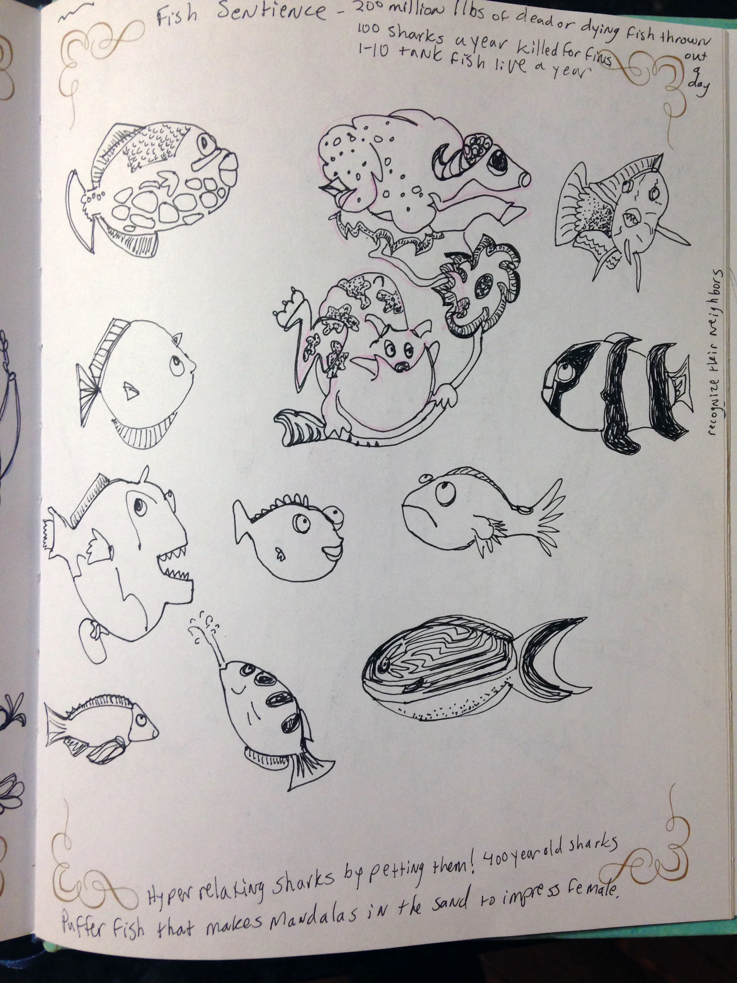 Fish Sketches during Dr. Jonathan Balcombe's talk