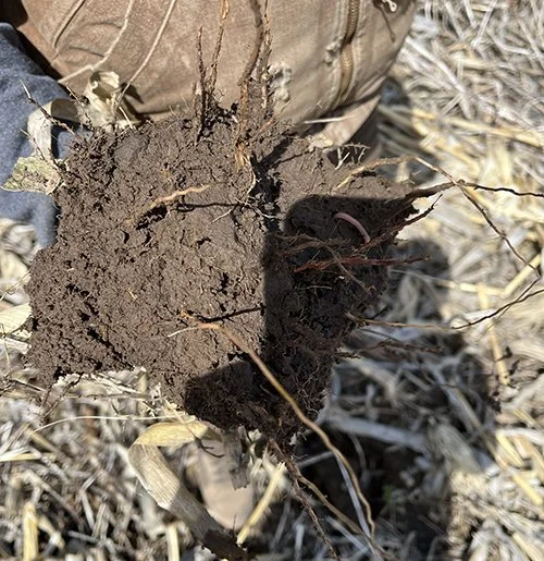 soilsm.jpg