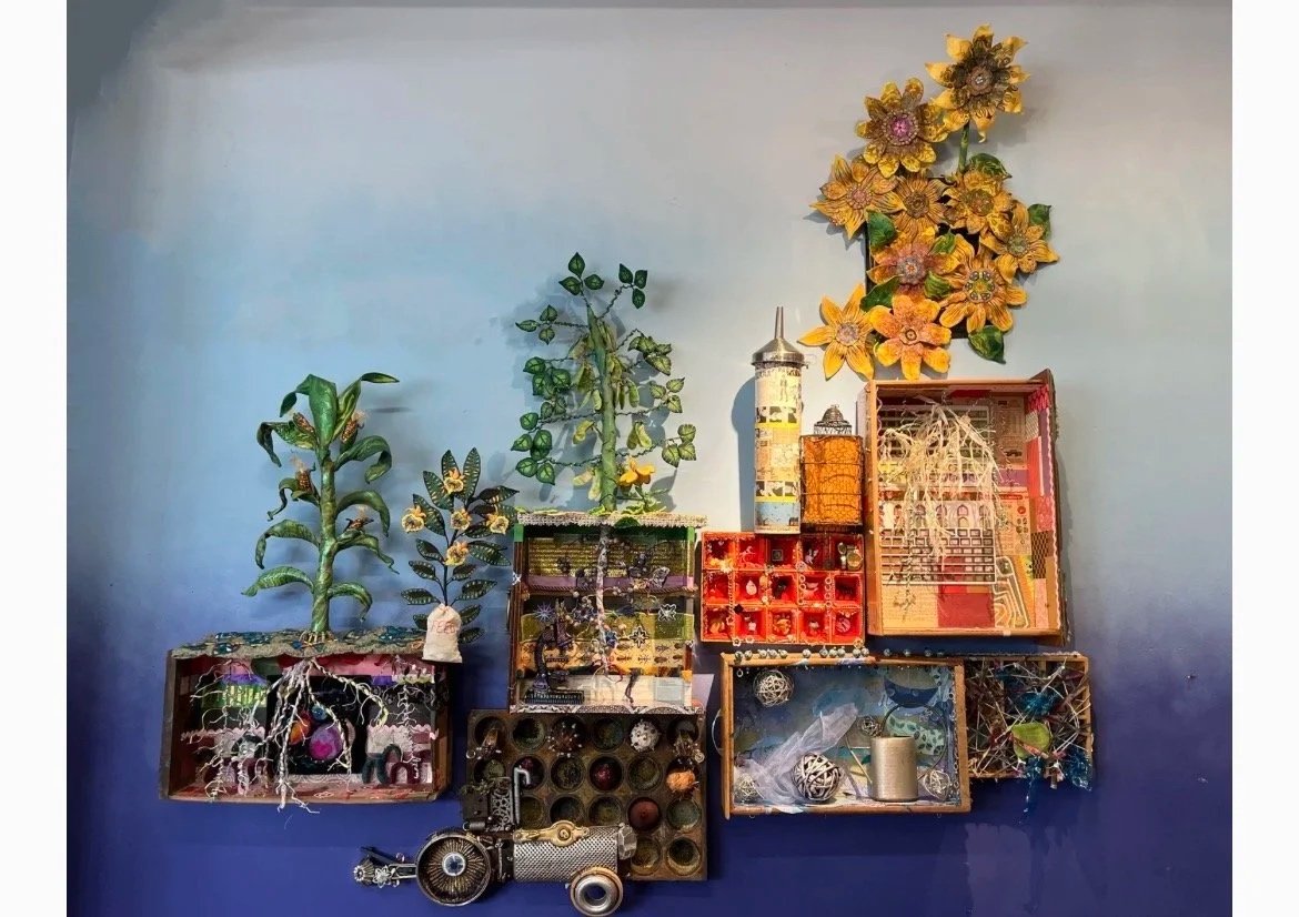 Cover Crop Collaboration