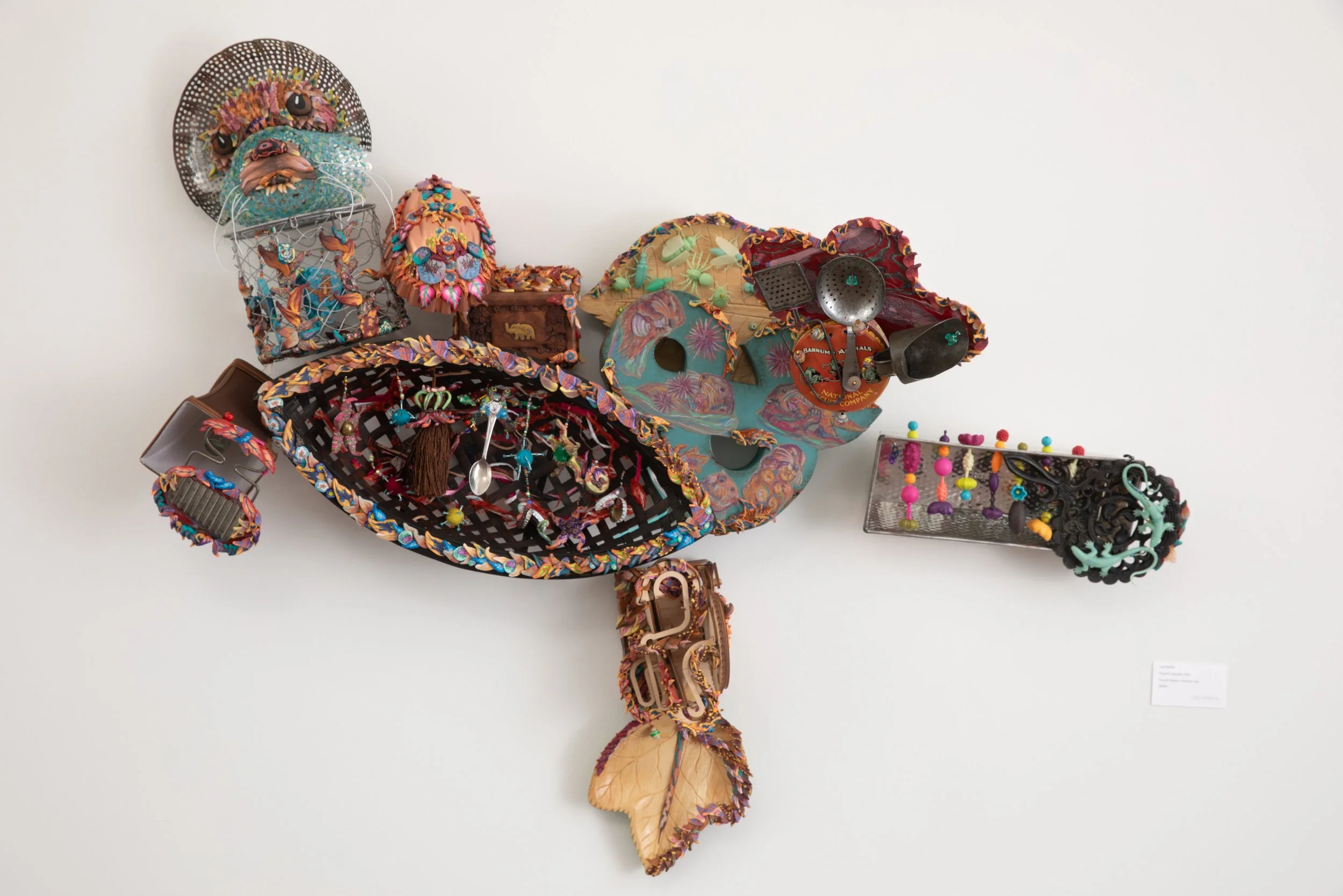 Trophic Cascade Otter