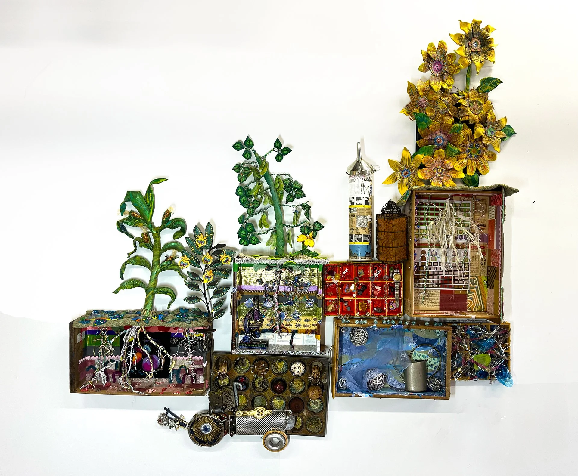 Cover Crop Collaboration