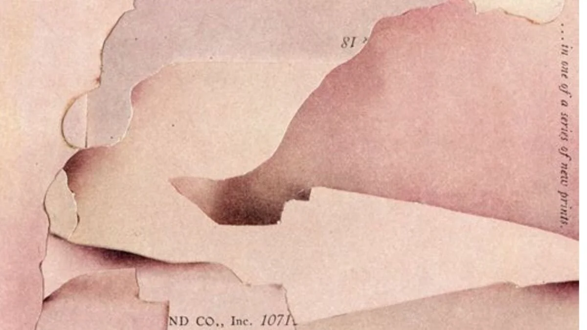 Olumsuz Geçen İş Görüşmeleri Aslında Başımıza Gelen En İyi Şey Olabilir